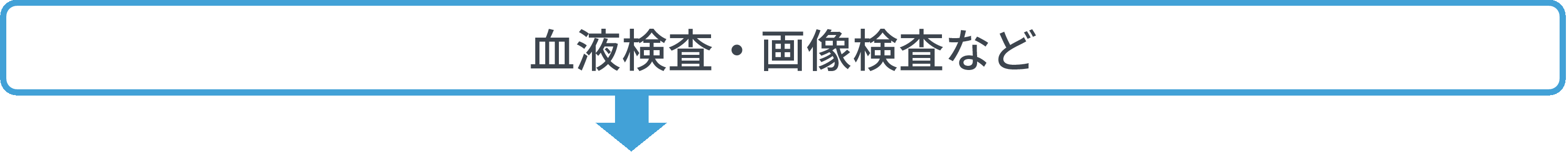 血液検査・画像検査など