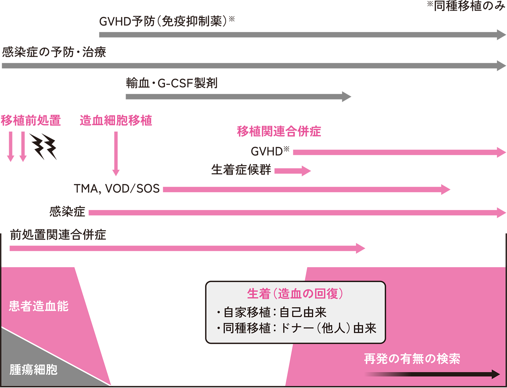 図. 造血幹細胞移植の流れ