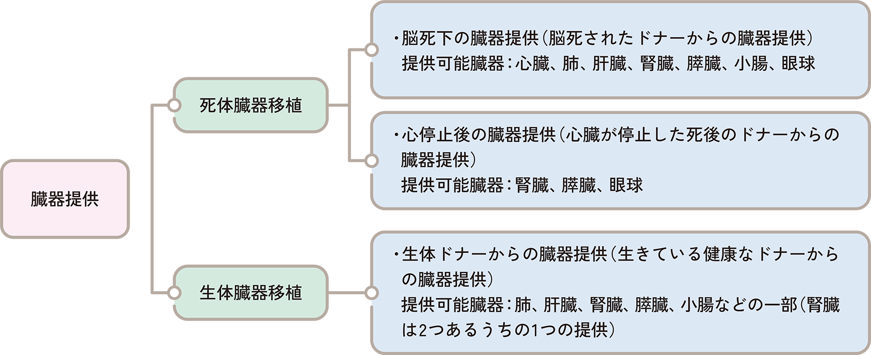 図1. 臓器提供の種類