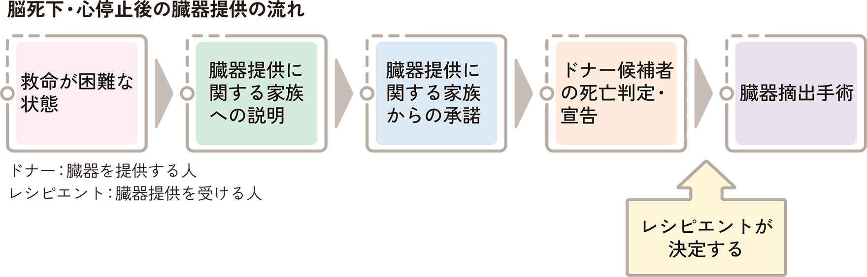 脳死下・心停止後の臓器提供の流れ