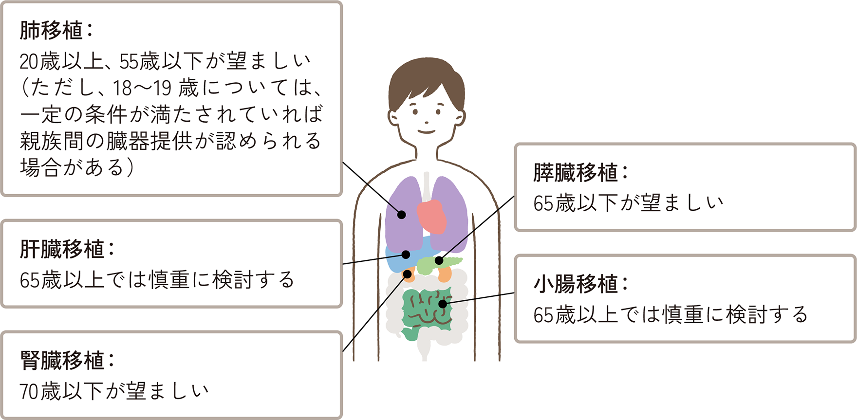 生体ドナーの提供臓器別の年齢条件