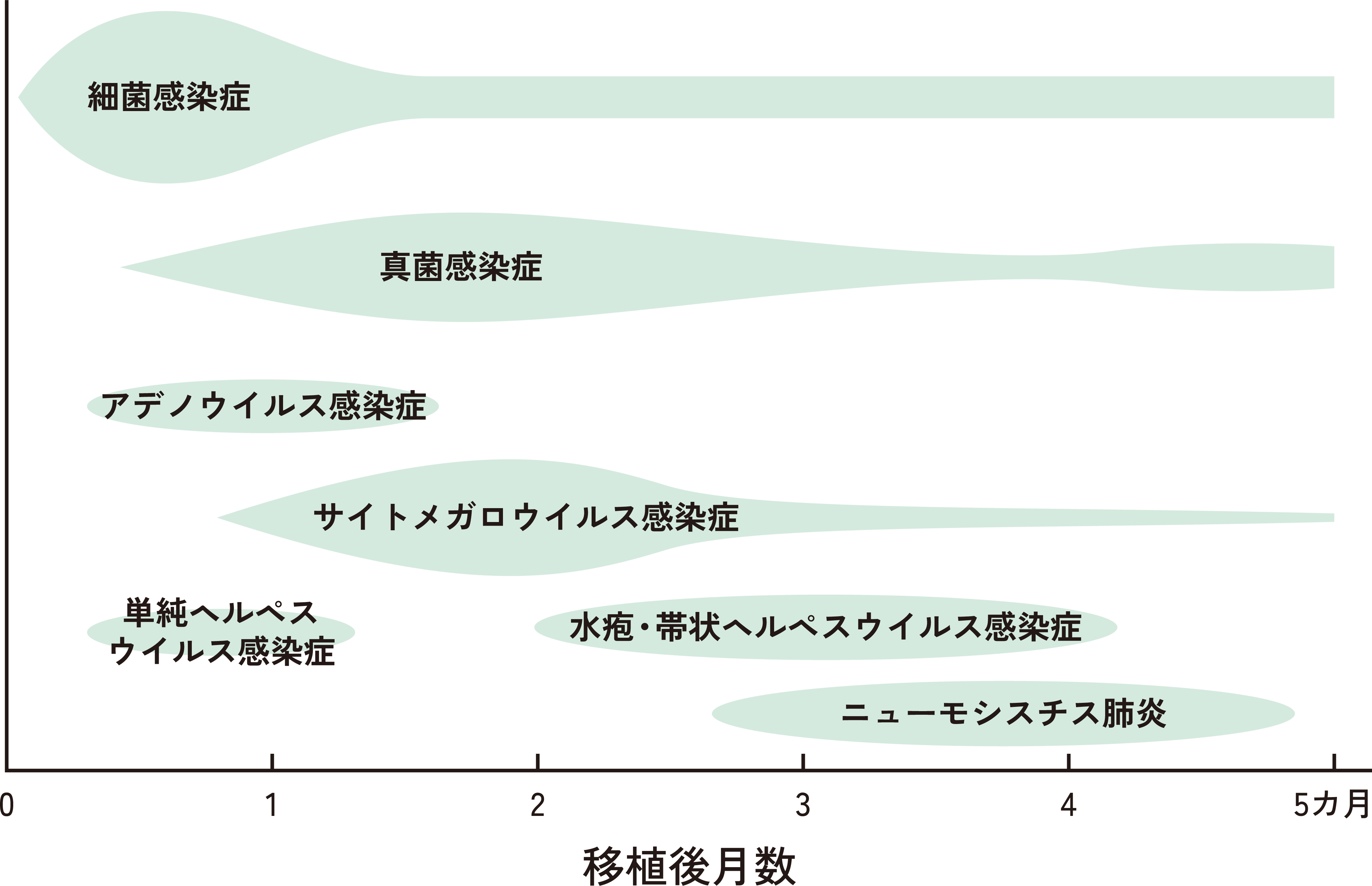 図1. 臓器移植後の主な感染症の発症時期